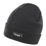 Result Lightweight Thinsulate Hat RC133X